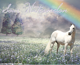 SourWatermelon.png image by Layout_Help